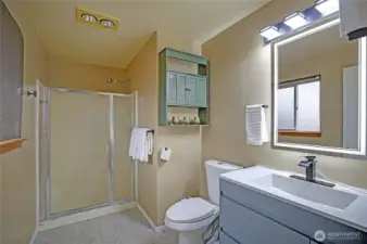 Cute updated primary bath features new sink & cabinet, mirror, light fixture & toilet!