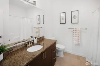 Second full bathroom with large mirror and vanity.
