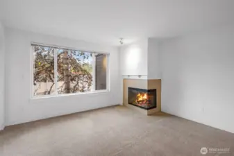 Enjoy the spacious living room with abundant natural light and wood burning fireplace. The owner has installed new carpet and professionally repainted the interior walls.  Nothing to do but move in.