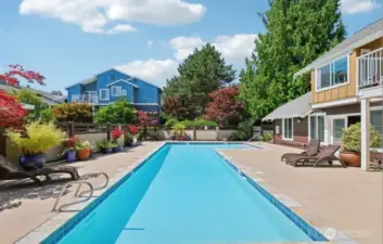 Outdoor heated swimming pool with hot tub, and cabana.  Chaise lounge chairs are provided.  Bring your suntan lotion, floatie and a towel.  There is also an outdoor grill for use.  Great space to hang out!