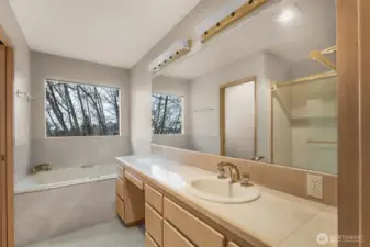 Primary bedroom's 5-piece en-suite