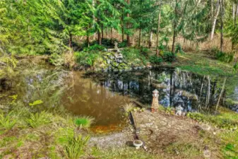 Pond with waterfall