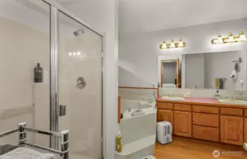 Primary bath with walk-in shower