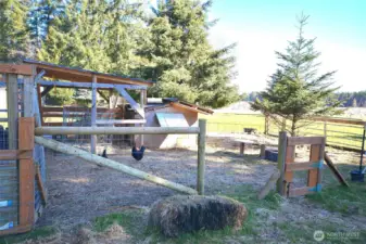 Chicken coop ready for your flock, perfect for hobby farming and backyard animals.