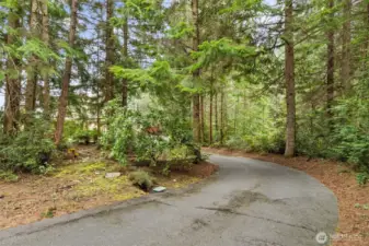 Secluded & private driveway!