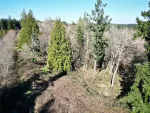 Don't miss out on this 19+ acre parcel in Lacey