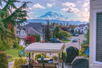 Stunning Mt Rainier views.