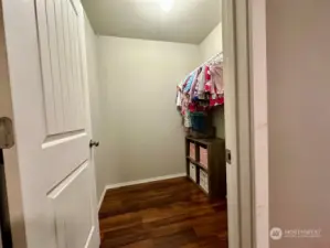 Generous walk-in closet in the 2nd bedroom.