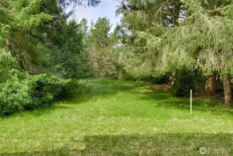 view of back yard from the house