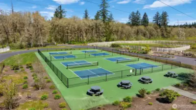 Pickle ball courts