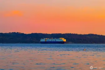 Daily world traveling vessels crossing the bay