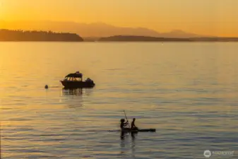 Three Tree Point's summer scene