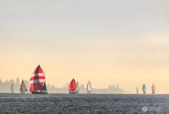 Regatta at the Point