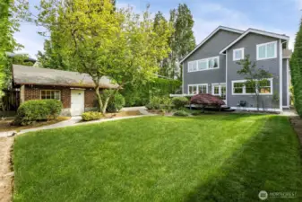 Back Yard