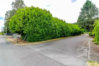 Shared paved driveway with friendly neighbor!