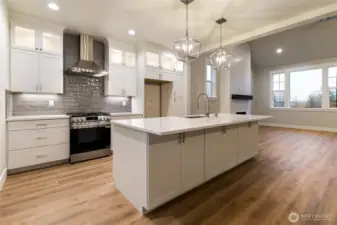 Modern Kitchen