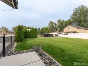Spacious front yard