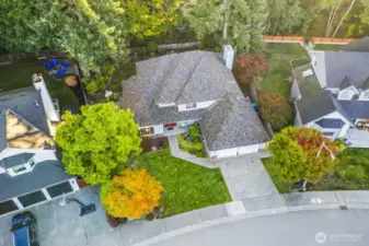 Brand new 50 yr roof