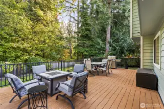 Newer Timbertech low maintenance deck
