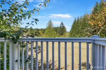 Juliet balcony off primary