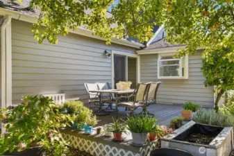 Back deck off 2nd living room, TREX! There is an abundance of apple trees on this property!