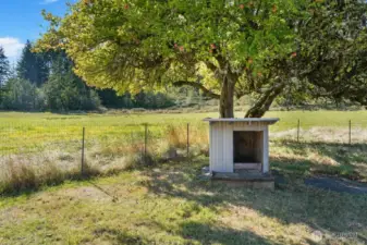 Insulated doghouse and fenced in area for your furry friend!