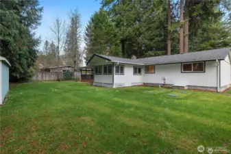 BACK YARD | Hydroseeded 2025