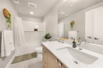 lower level full bath