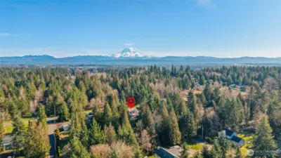 Drone with Mt. Rainier
