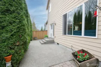 Back patio Greenbelt