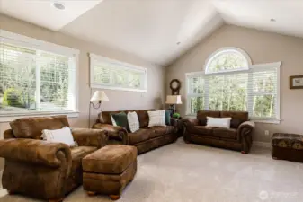 Living/media/rec room on upper level - very versatile