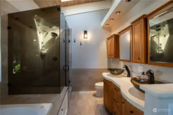 Primary bathroom with full steam shower