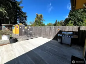 Extensive Concrete Hardscape Makes This Backyard Low-Maintenance.