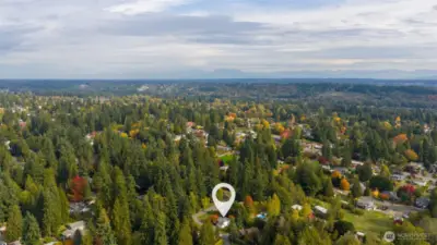 Welcome to the quiet community of Brier, where life moves at a peaceful pace and familiar charm still shines. Enjoy the best of both worlds - tranquil living surrounded by nature, yet just minutes from highways and only 3 miles from light rail.