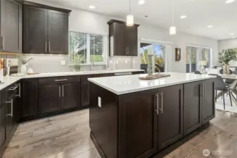 Gorgeous Chef's kitchen