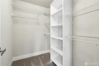 LARGE Walk in Closet
