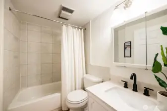 Lower level full bath.