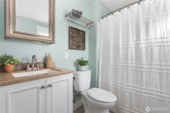 Full downstairs bathroom