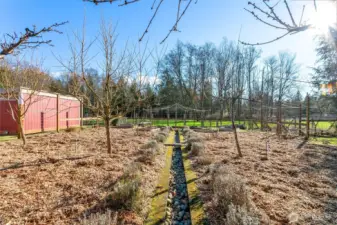 fenced in orchard area has own irrigation from rain catchment system. This is a gorgeous spot in the spring and summer!