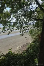 The beach is perfect and neighbors have placed oysters seeds in baskets.