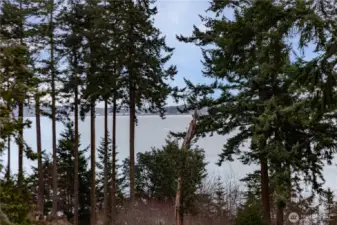 Views from deck