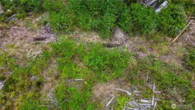 Soil test location.