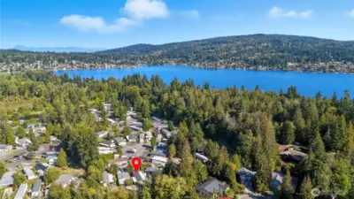 Bellingham’s lush greenery surrounds the park, offering beauty in every direction.