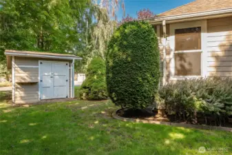 Back/Side yard. Nice garden shed.