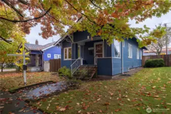 Gorgeous oak lined street in Everett