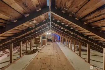 Unfinished attic with plenty of storage