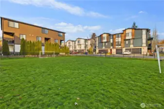 Large community field.