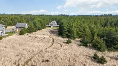 A quiet community tucked into nature, where homes blend harmoniously with the landscape.