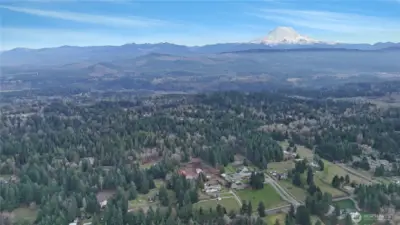Aerial View of Site And Surrounding Area