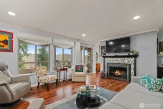 Living room with fireplace